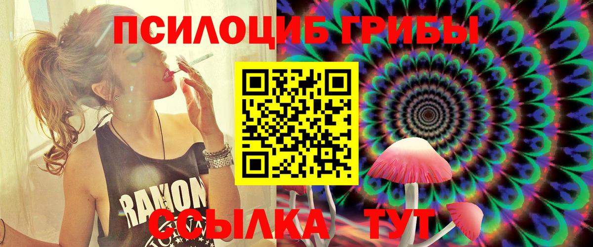 Псилоцибиновые грибы Psilocybine cubensis  Галлюциногенные грибы ЛСД  Вход с VPN  Кинель 